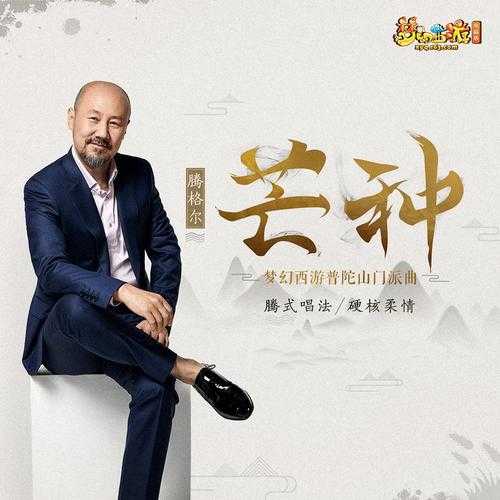 梦幻西游芒种音乐在哪买