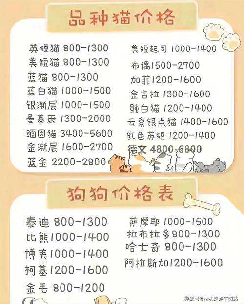 梦幻西游西瓜猫宠物多少钱 价格 多少钱 西瓜