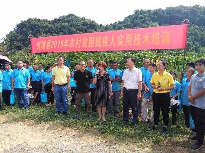 梦幻西游解决残疾人就业