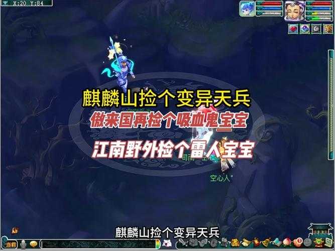 梦幻西游赛季服宠物培养，赛季，宠物 宠物