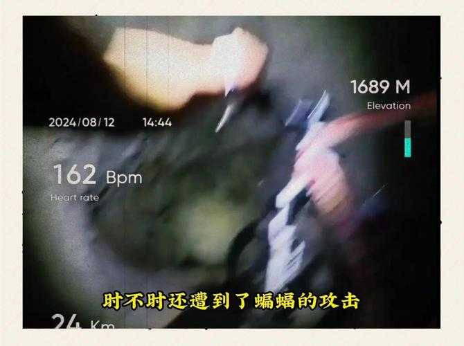 血色椰林,55岁骑行客独闯琼州万里的死亡之旅
