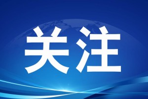 事件背景与公众关注，事件背景与公众关注，XXX事件中的舆论动态与社会反响