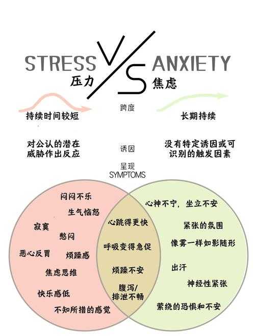 国际社会的反应与压力